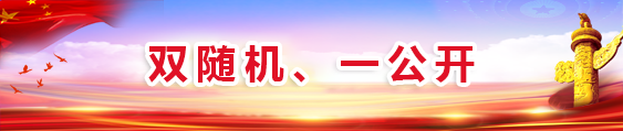 双随机、一公开专栏